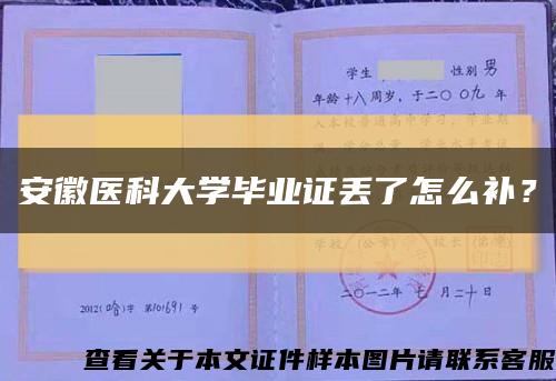 安徽医科大学毕业证丢了怎么补？缩略图