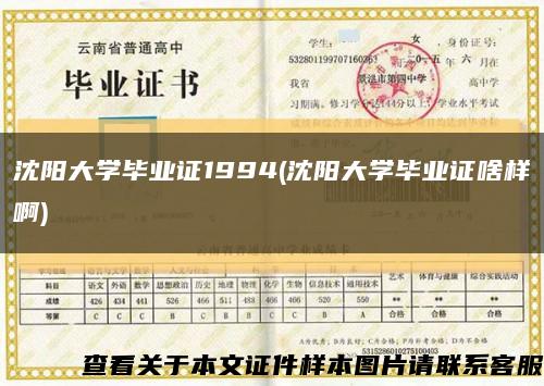 沈阳大学毕业证1994(沈阳大学毕业证啥样啊)缩略图