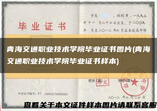 青海交通职业技术学院毕业证书图片(青海交通职业技术学院毕业证书样本)缩略图
