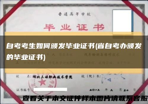 自考考生如何颁发毕业证书(省自考办颁发的毕业证书)缩略图