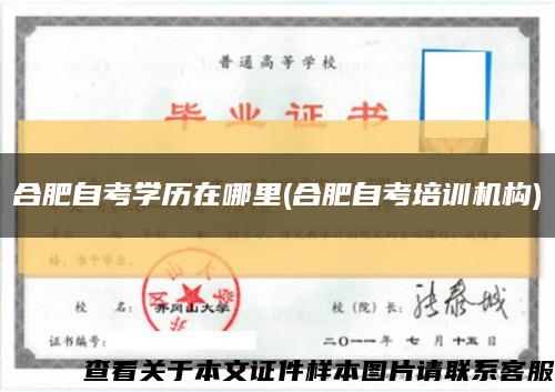合肥自考学历在哪里(合肥自考培训机构)缩略图