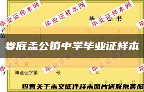 娄底孟公镇中学毕业证样本缩略图