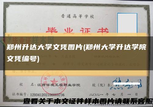 郑州升达大学文凭图片(郑州大学升达学院文凭编号)缩略图