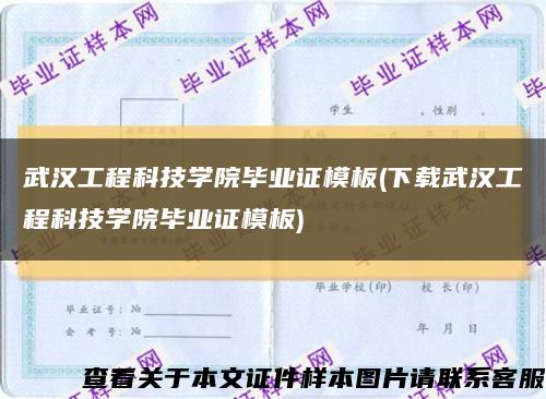 武汉工程科技学院毕业证模板(下载武汉工程科技学院毕业证模板)缩略图