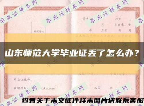 山东师范大学毕业证丢了怎么办？缩略图