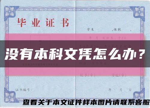 没有本科文凭怎么办？缩略图