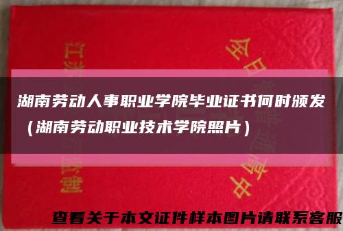 湖南劳动人事职业学院毕业证书何时颁发（湖南劳动职业技术学院照片）缩略图