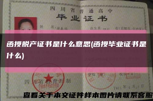 函授脱产证书是什么意思(函授毕业证书是什么)缩略图