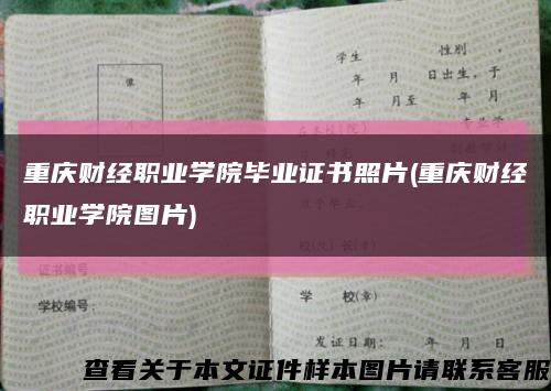 重庆财经职业学院毕业证书照片(重庆财经职业学院图片)缩略图