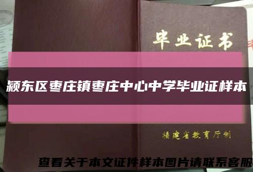 颍东区枣庄镇枣庄中心中学毕业证样本缩略图