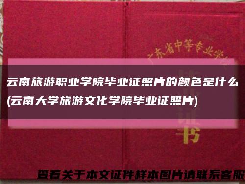 云南旅游职业学院毕业证照片的颜色是什么(云南大学旅游文化学院毕业证照片)缩略图