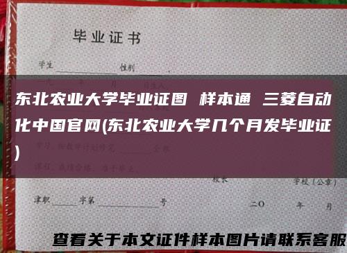 东北农业大学毕业证图 样本通 三菱自动化中国官网(东北农业大学几个月发毕业证)缩略图