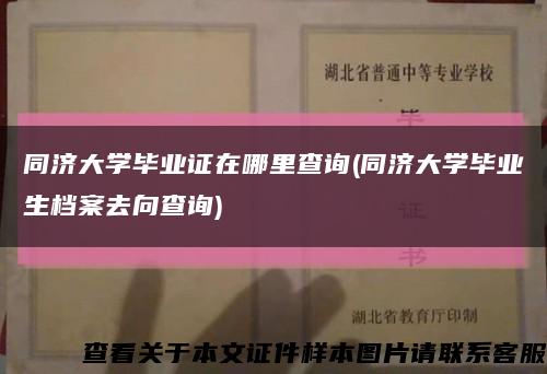 同济大学毕业证在哪里查询(同济大学毕业生档案去向查询)缩略图
