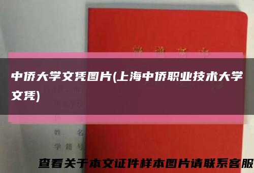 中侨大学文凭图片(上海中侨职业技术大学文凭)缩略图