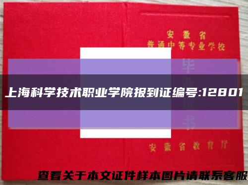 上海科学技术职业学院报到证编号:12801缩略图