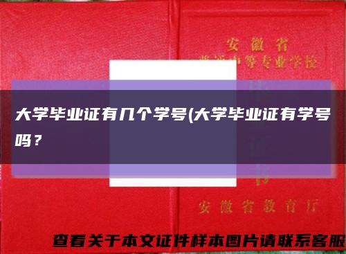 大学毕业证有几个学号(大学毕业证有学号吗？缩略图
