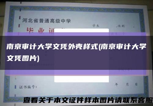 南京审计大学文凭外壳样式(南京审计大学文凭图片)缩略图