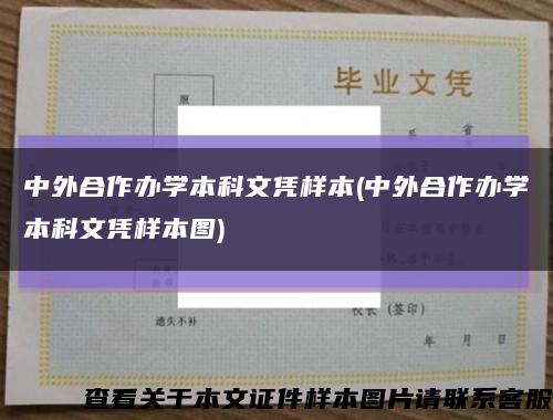 中外合作办学本科文凭样本(中外合作办学本科文凭样本图)缩略图