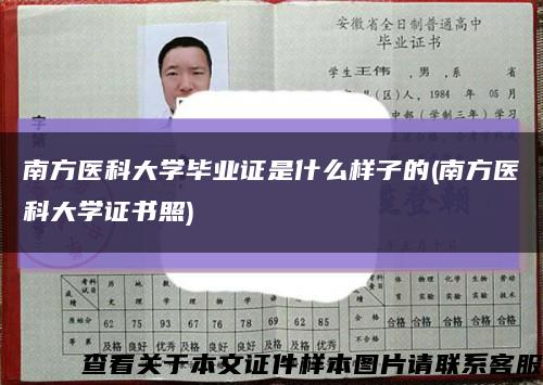 南方医科大学毕业证是什么样子的(南方医科大学证书照)缩略图