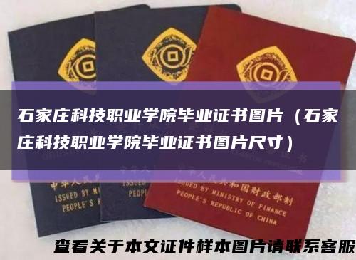 石家庄科技职业学院毕业证书图片（石家庄科技职业学院毕业证书图片尺寸）缩略图