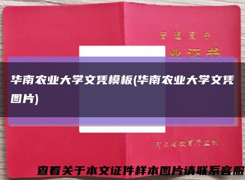华南农业大学文凭模板(华南农业大学文凭图片)缩略图