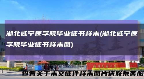 湖北咸宁医学院毕业证书样本(湖北咸宁医学院毕业证书样本图)缩略图