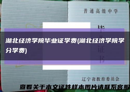 湖北经济学院毕业证学费(湖北经济学院学分学费)缩略图