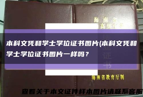 本科文凭和学士学位证书图片(本科文凭和学士学位证书图片一样吗？缩略图