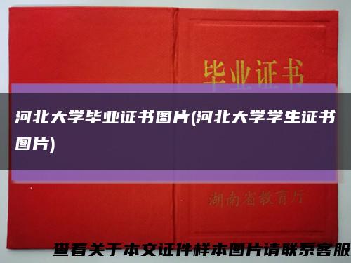 河北大学毕业证书图片(河北大学学生证书图片)缩略图
