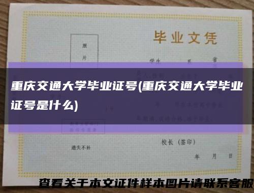 重庆交通大学毕业证号(重庆交通大学毕业证号是什么)缩略图