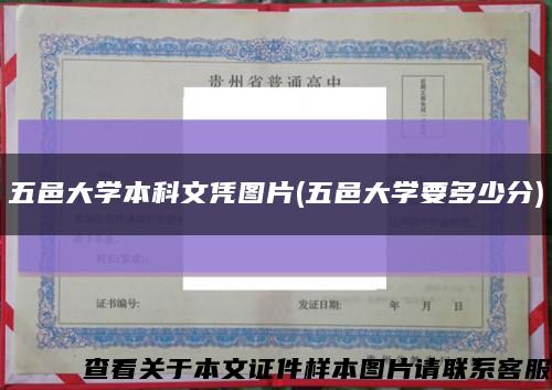 五邑大学本科文凭图片(五邑大学要多少分)缩略图