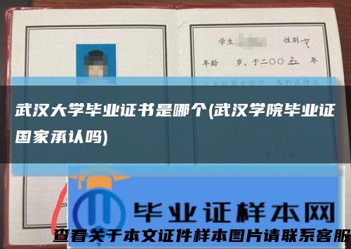 武汉大学毕业证书是哪个(武汉学院毕业证国家承认吗)缩略图