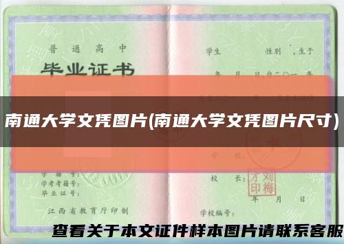 南通大学文凭图片(南通大学文凭图片尺寸)缩略图