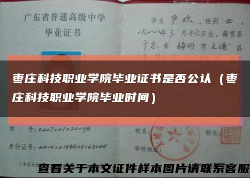 枣庄科技职业学院毕业证书是否公认（枣庄科技职业学院毕业时间）缩略图