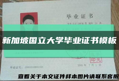 新加坡国立大学毕业证书模板缩略图