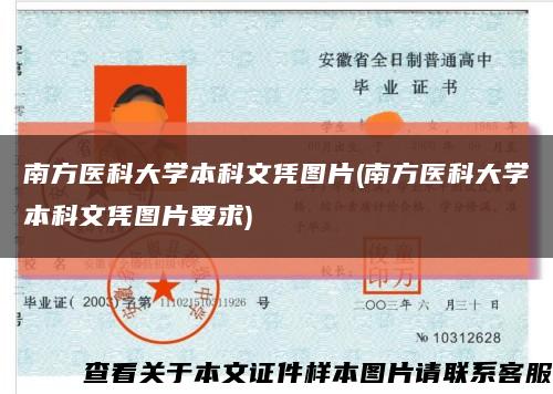 南方医科大学本科文凭图片(南方医科大学本科文凭图片要求)缩略图