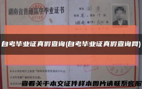 自考毕业证真假查询(自考毕业证真假查询网)缩略图