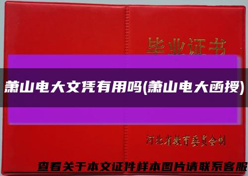 萧山电大文凭有用吗(萧山电大函授)缩略图
