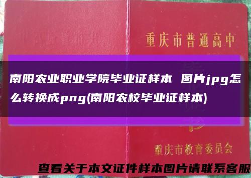 南阳农业职业学院毕业证样本 图片jpg怎么转换成png(南阳农校毕业证样本)缩略图