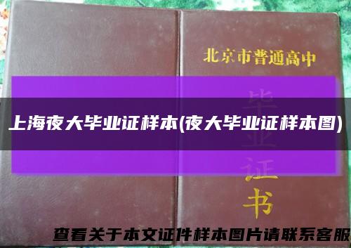 上海夜大毕业证样本(夜大毕业证样本图)缩略图