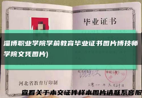 淄博职业学院学前教育毕业证书图片博技师学院文凭图片)缩略图