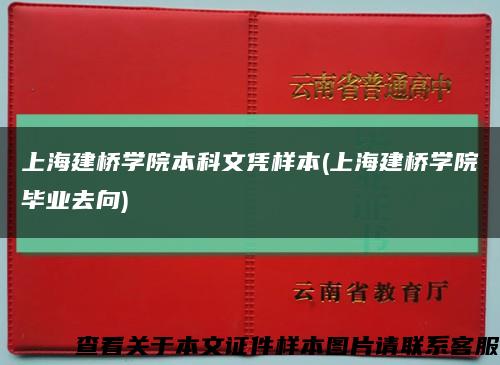 上海建桥学院本科文凭样本(上海建桥学院毕业去向)缩略图