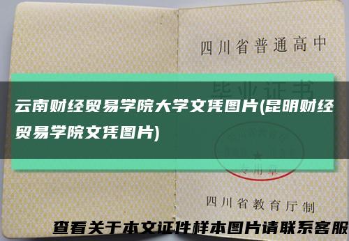 云南财经贸易学院大学文凭图片(昆明财经贸易学院文凭图片)缩略图