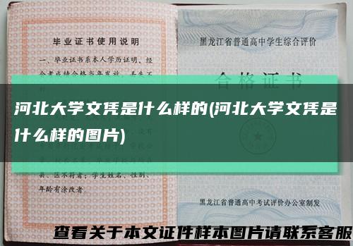 河北大学文凭是什么样的(河北大学文凭是什么样的图片)缩略图
