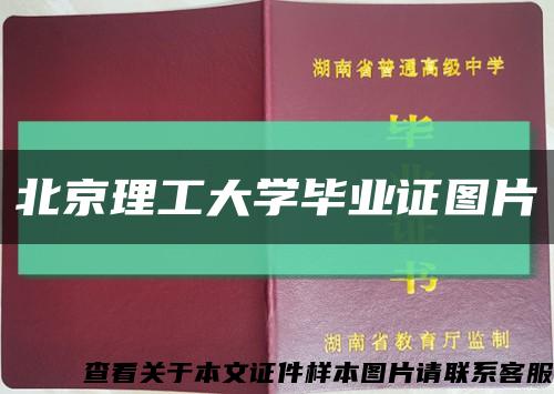 北京理工大学毕业证图片缩略图