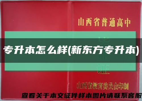 专升本怎么样(新东方专升本)缩略图