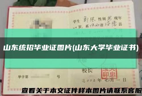 山东统招毕业证图片(山东大学毕业证书)缩略图
