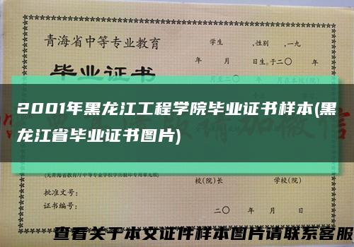 2001年黑龙江工程学院毕业证书样本(黑龙江省毕业证书图片)缩略图