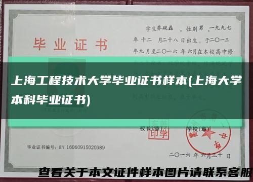 上海工程技术大学毕业证书样本(上海大学本科毕业证书)缩略图