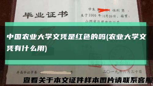 中国农业大学文凭是红色的吗(农业大学文凭有什么用)缩略图